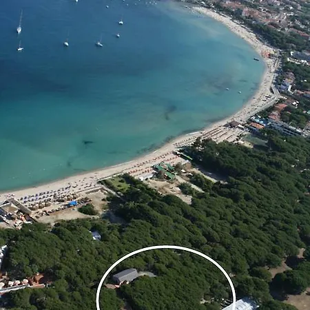 Nettuno