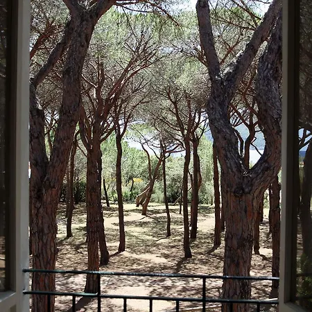 Ξενοδοχείο Nettuno 3*